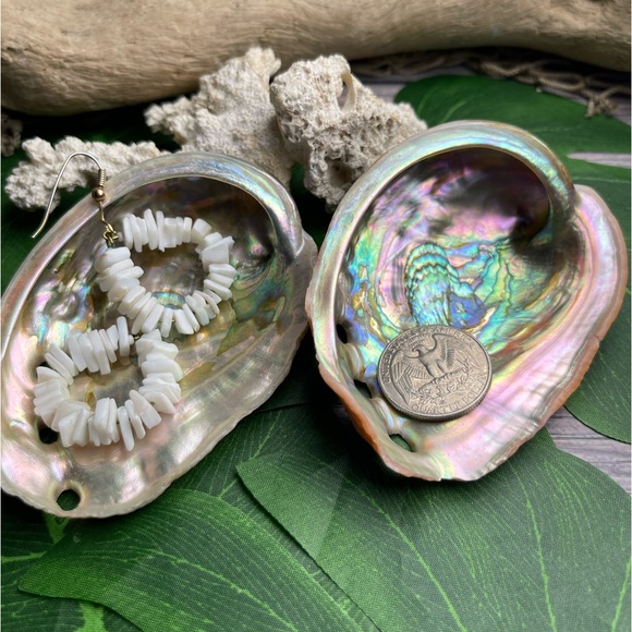 2 for 1 Special Seashells Lot 2 Interior Polished Abalone Shells Bundle Coastal - Picture 4 of 14